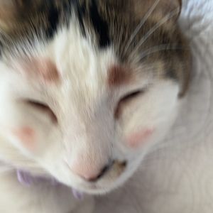 Meet your Posher, Martin